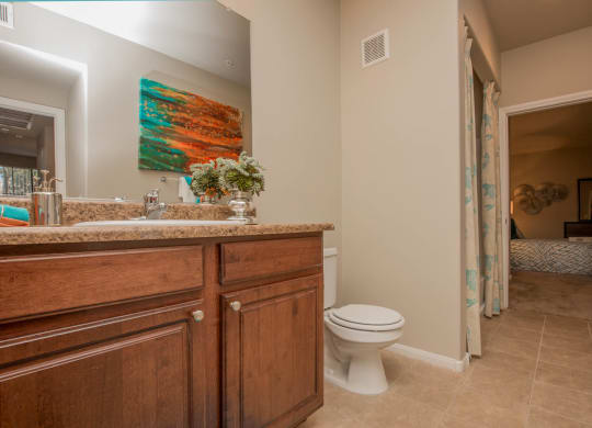 Modern Bathroom Fittings at The Passage Apartments by Picerne, Nevada, 89014
