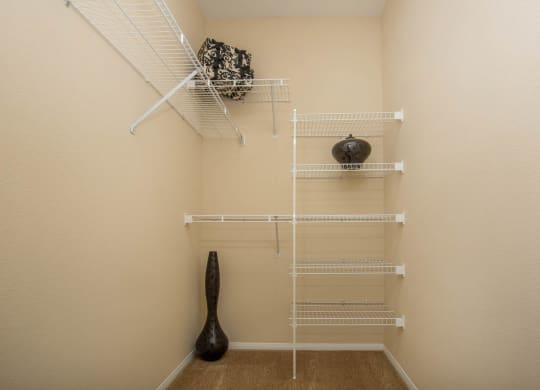 Large Closets at The Passage Apartments by Picerne, Nevada, 89014