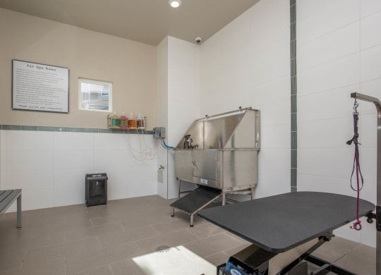Pet Wash Center at The Passage Apartments by Picerne, Henderson, NV