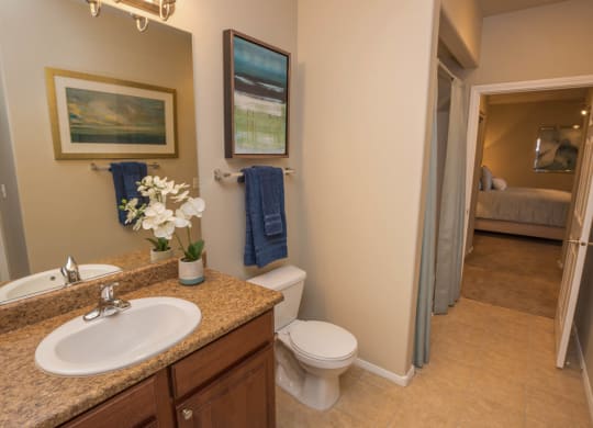 Modern Bathroom Fittings at The Pavilions by Picerne, Las Vegas, Nevada