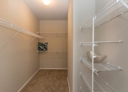 Bedroom Closet at The Pavilions by Picerne, Las Vegas, 89166