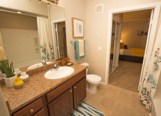 Modern Bathroom at The Pavilions by Picerne, Nevada, 89166