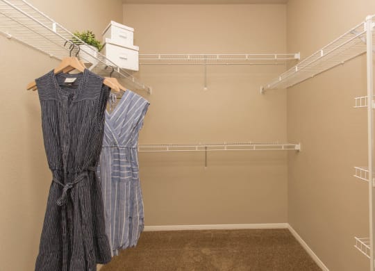 Walk-In Closets And Dressing Areas at The Pavilions by Picerne, Nevada
