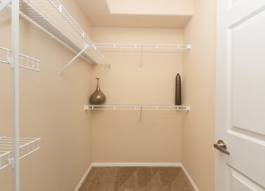 Large Closet at The Pavilions by Picerne, Las Vegas, 89166