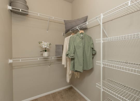 Closet at The Pavilions by Picerne, Las Vegas, NV, 89166