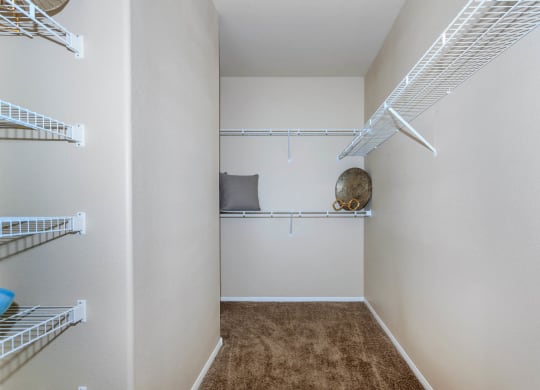 Large Closet at The Preserve by Picerne, N Las Vegas, NV