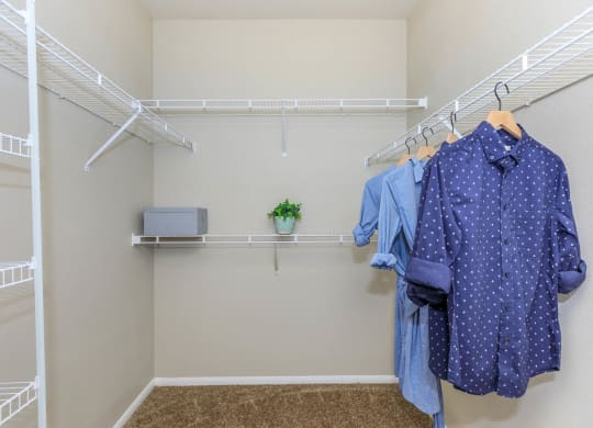 Walk-In Closets With Built-In Shelving at The Presidio by Picerne, Nevada, 89084