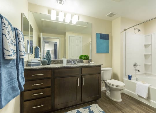 Bath at The View at Horizon Ridge, Henderson