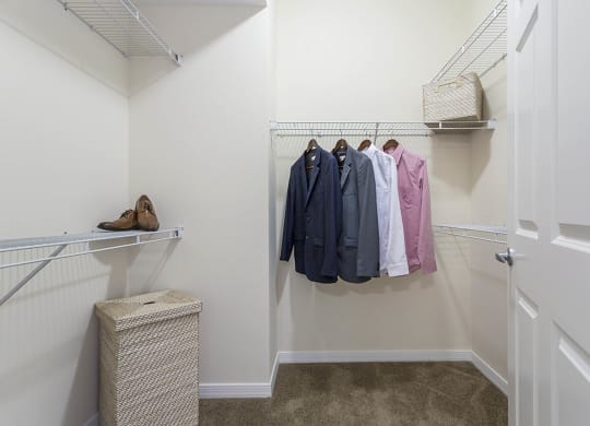 closet at The View at Horizon Ridge, Henderson, NV, 89012