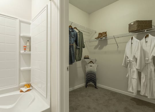 Closet space at The View at Horizon Ridge, Henderson, NV