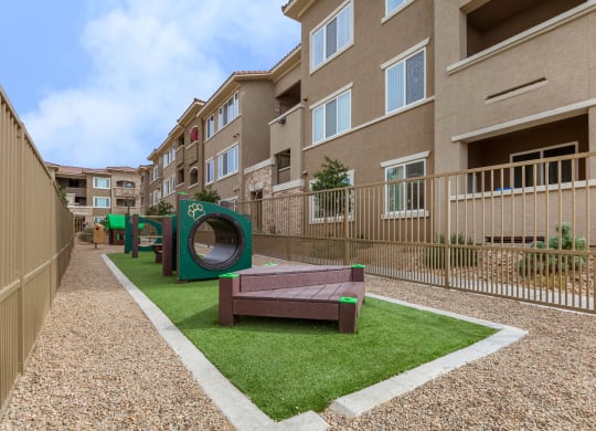Play area for dogs1 at The View at Horizon Ridge, Henderson