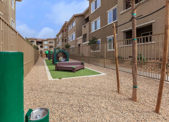 Dog park at The View at Horizon Ridge, Henderson, NV, 89012
