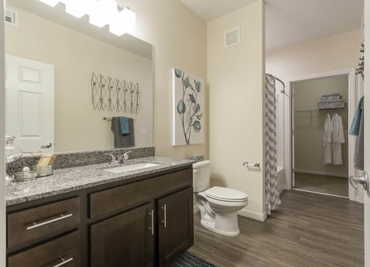 Bath at The View at Horizon Ridge, Henderson