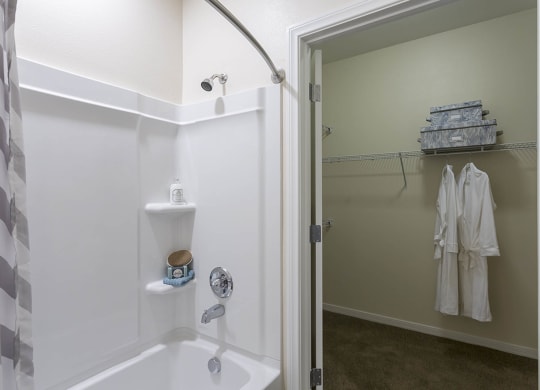 walk in closet space at The View at Horizon Ridge, Nevada, 89012