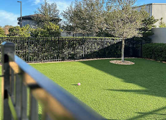 A small ball is on the green turf in a backyard.