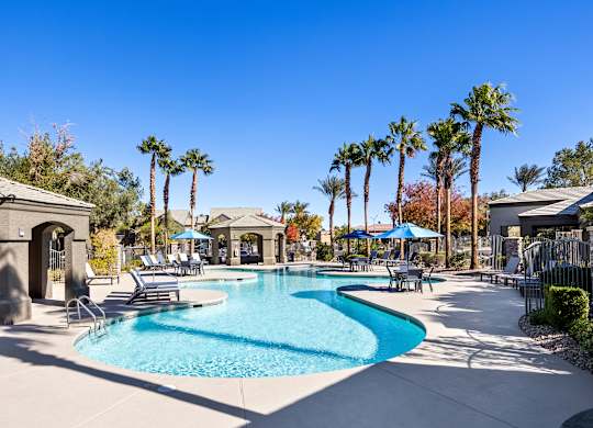 A large swimming pool surrounded by palm trees and lounge chairs.