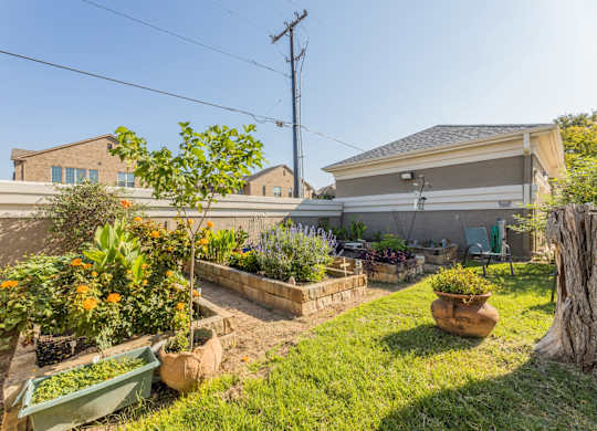 Gardening area with beautiful plants and flowers at Encore at Buckingham apartments in Richardson, TX