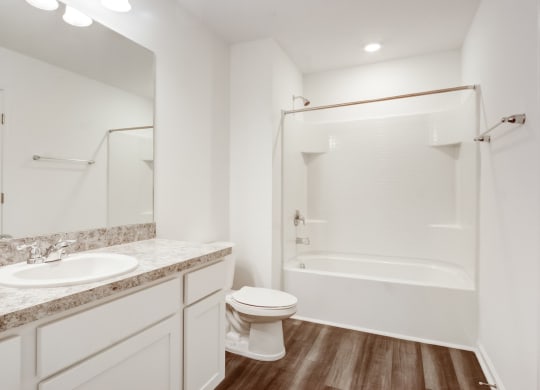 Master bathroom with a sink toilet and a shower area at Beacon at Arbours in Ruskin, FL