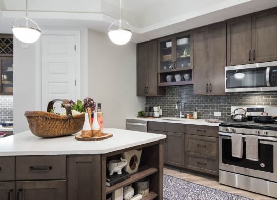 Gas Range And Built-in Microwaves at The Alastair at Aria Village, Sandy Springs, GA, 30328