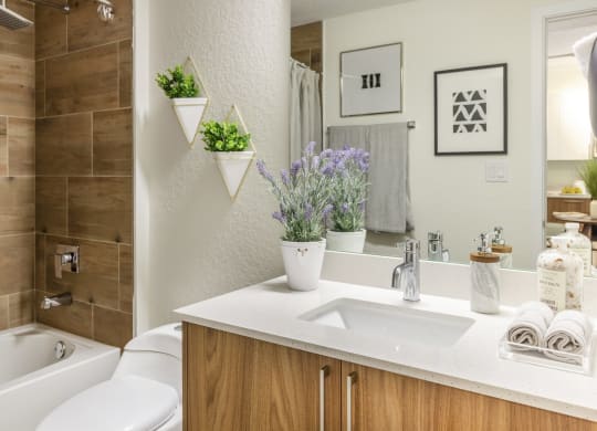 Designer Bathroom Suites at Alameda West, Florida, 33144