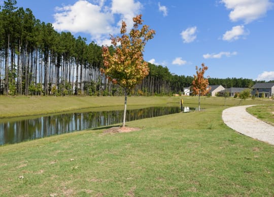 Pond and a walking trail leading from pool to houses at at Beacon at Ashley River Landing in Summerville, SC