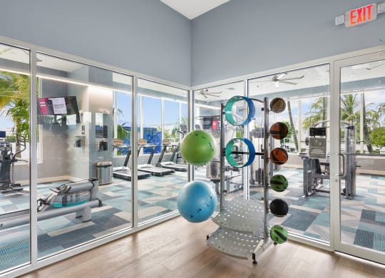 Fitness Center training and medicine balls, Blue Lagoon 7 in Miami, FL