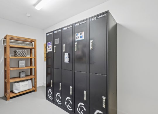 Dry cleaning lockers at Bay Village 1 in Palmetto Bay, FL