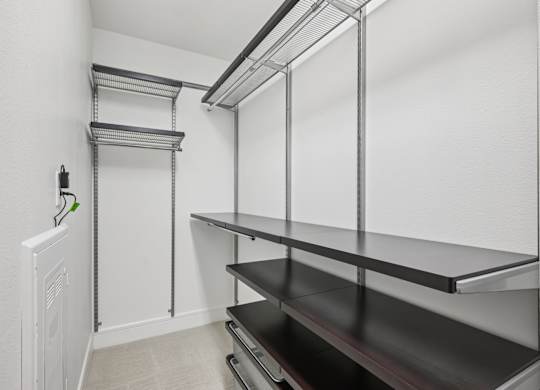 The Case Building Apartments in Dallas, TX  1 Bedroom Closet