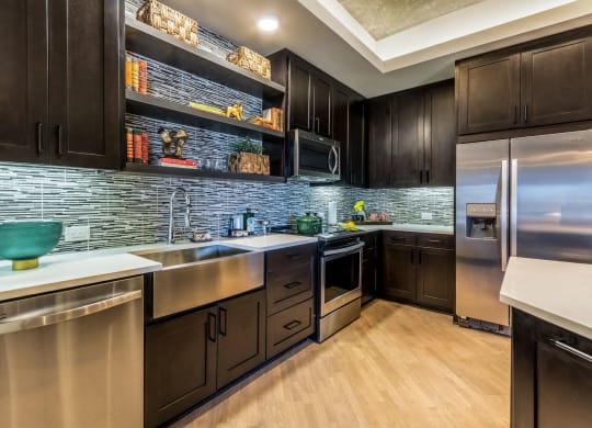 Modern appliances in kitchen with black cabinetry at The Case Building in Dallas, TX