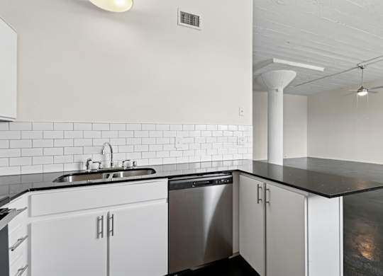 Elm St Lofts in Dallas TX kitchen