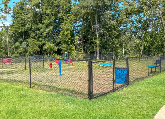 a dog park with agility courses and agility ropes