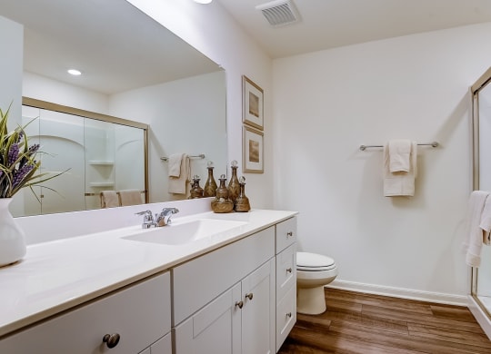 a bathroom with a sink and a toilet and a shower