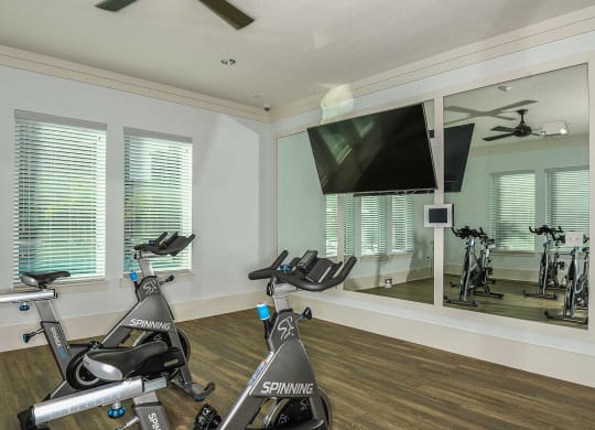 Fitness Center 2 at Dunedin Commons Apartment Homes in Dunedin, Florida, FL