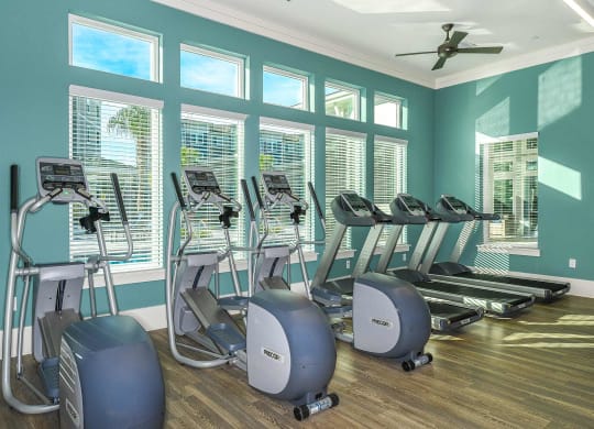 Fitness Center 4 at Dunedin Commons Apartment Homes in Dunedin, Florida, FL