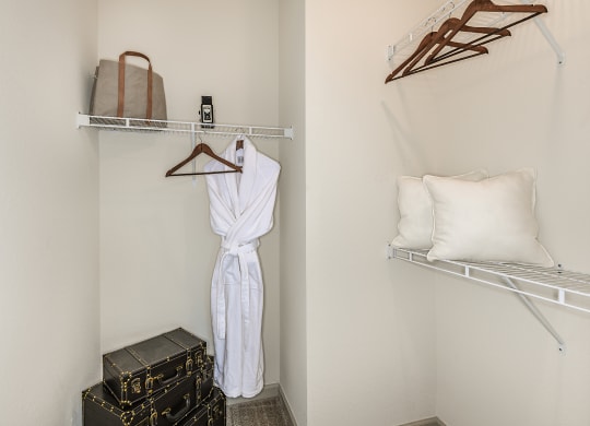 Model Closet 2 at  Dunedin Commons Apartment Homes in Dunedin, Florida, FL