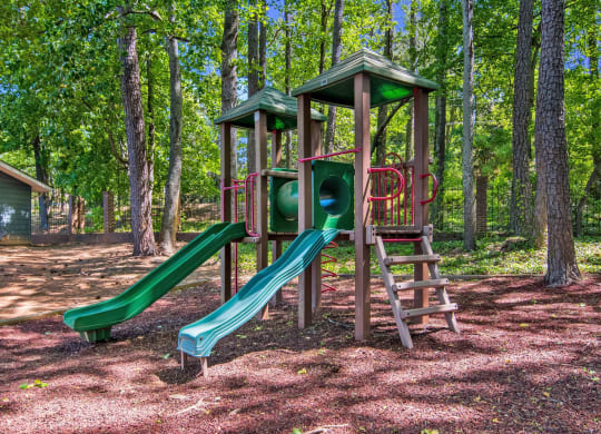 a playground with two slides and a ladder in a wooded area at Dunwoody Pointe in Sandy Springs, GA