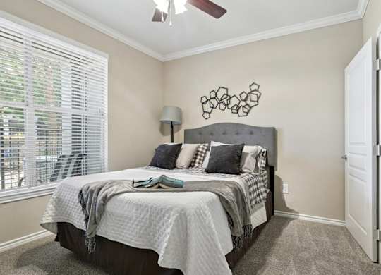Windsor bedroom with carpet, a window, and a ceiling fan at Encore at Buckingham Apartments in Richardson, TX