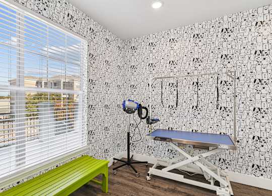 Encore at Buckingham apartment in Richardson, TX dog spa