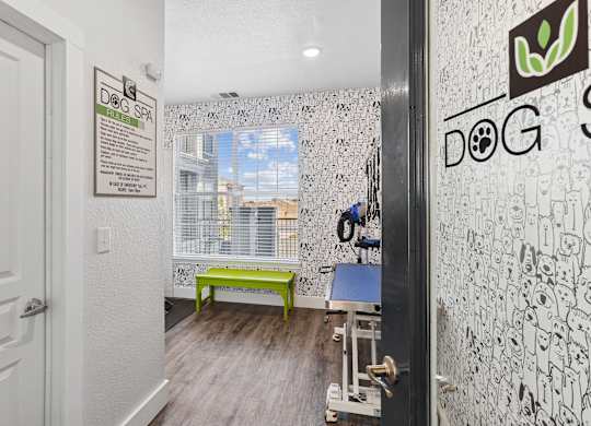 Encore at Buckingham apartment in Richardson, TX dog spa