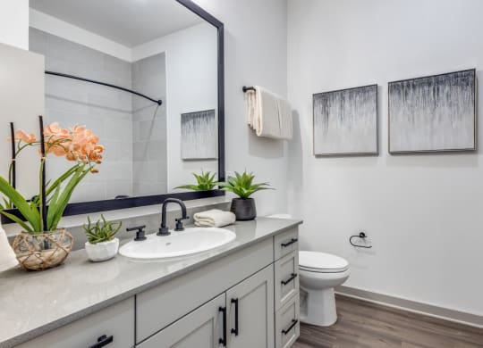 Model Studio bathroom with a toilet, spacious vanity sink and a mirror at Era Apartments in Denton, TX