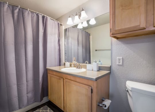 Model Unit Bathroom at Greensview Apartments in Aurora, Colorado, CO