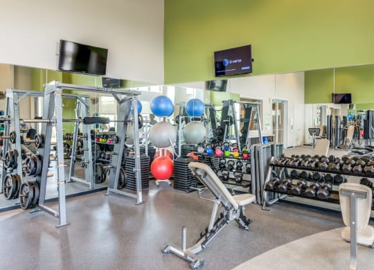 a gym with a lot of weights and cardio equipment