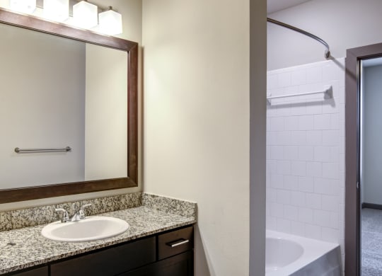 a bathroom with a sink and a mirror and a shower