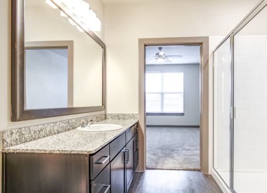 a bathroom with a sink and a mirror and a shower