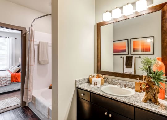a bathroom with a mirror and a sink and a shower