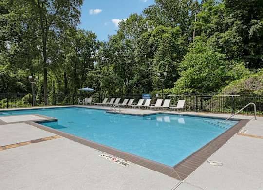 A pool with lounge chairs surrounded by lush trees at Gwinnett Square Apartments in Duluth, GA