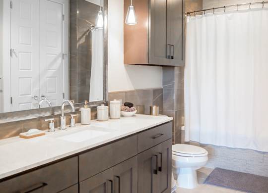 3 bedroom model bathroom with a sink and a toilet and a shower at The Hamilton apartments in Dallas, TX