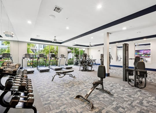 Spacious fitness studio featuring free weights and cardio machines at Harlow River Oaks apartments in Houston, TX