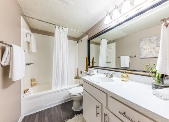 Model apartment renovated bathroom at Hillside Creek Apartments in Austin, TX