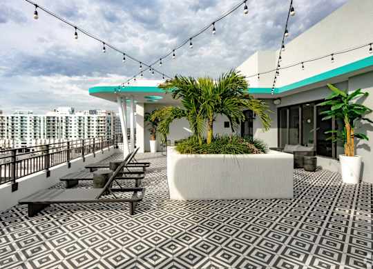 Our sky deck with lounge chairs and palms at Hollywood Heights on the Boulevard Luxury Apartments in Hollywood, FL